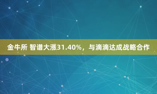 金牛所 智谱大涨31.40%，与滴滴达成战略合作