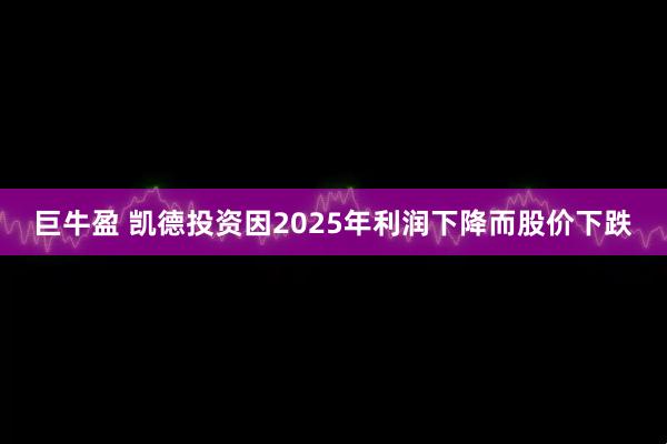 巨牛盈 凯德投资因2025年利润下降而股价下跌