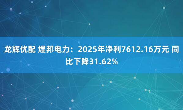 龙辉优配 煜邦电力：2025年净利7612.16万元 同比下降31.62%