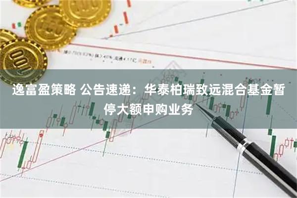 逸富盈策略 公告速递：华泰柏瑞致远混合基金暂停大额申购业务